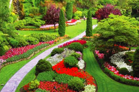 园林景观设计师