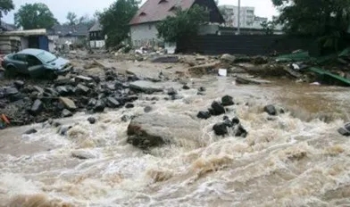 我们改变不了环境,只能去适应环境!